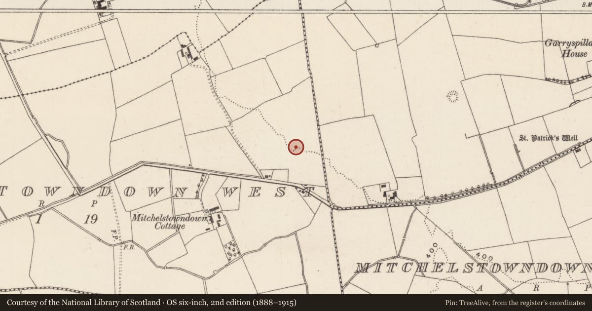 Ordnance Survey six-inch map, 2nd edition (1888–1915) covering the location of Road - road/trackway, Mitchelstowndown West, County Limerick, with a pin at the register's coordinates