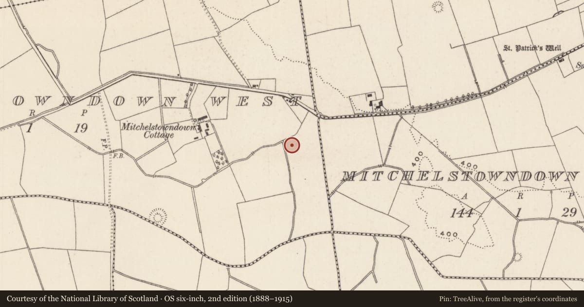 Ordnance Survey six-inch map, 2nd edition (1888–1915) covering the location of Mound, Mitchelstowndown West, County Limerick, with a pin at the register's coordinates