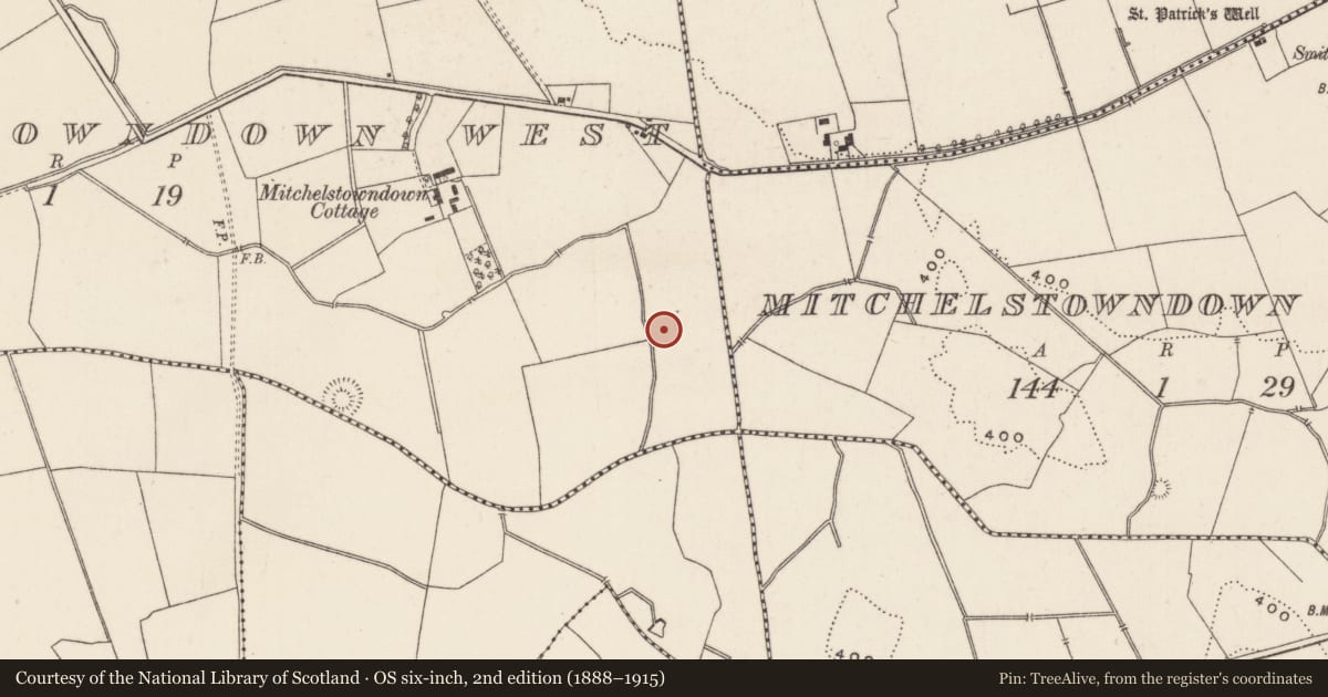 Ordnance Survey six-inch map, 2nd edition (1888–1915) covering the location of Barrow - unclassified, Mitchelstowndown West, County Limerick, with a pin at the register's coordinates