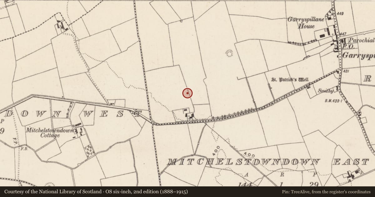 Ordnance Survey six-inch map, 2nd edition (1888–1915) covering the location of Cremation pit, Raheennamadra, County Limerick, with a pin at the register's coordinates