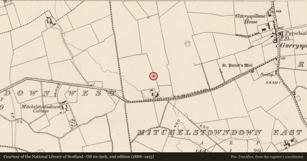 Ordnance Survey six-inch map, 2nd edition (1888–1915) covering the location of Cremation pit, Raheennamadra, County Limerick, with a pin at the register's coordinates