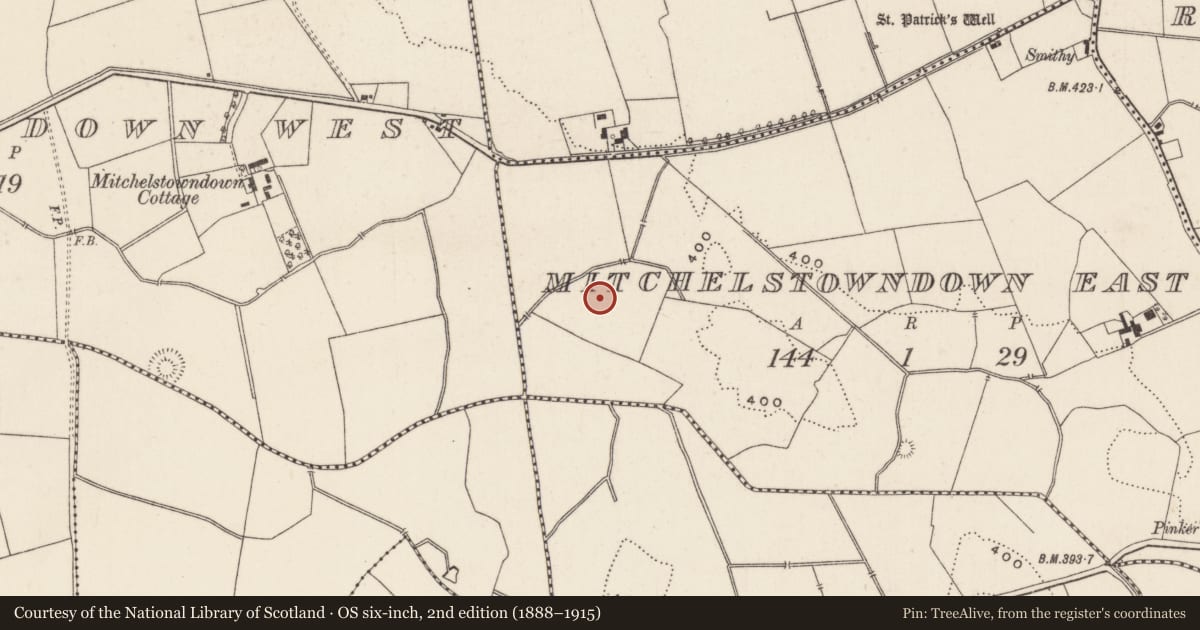 Ordnance Survey six-inch map, 2nd edition (1888–1915) covering the location of Enclosure, Mitchelstowndown East, County Limerick, with a pin at the register's coordinates