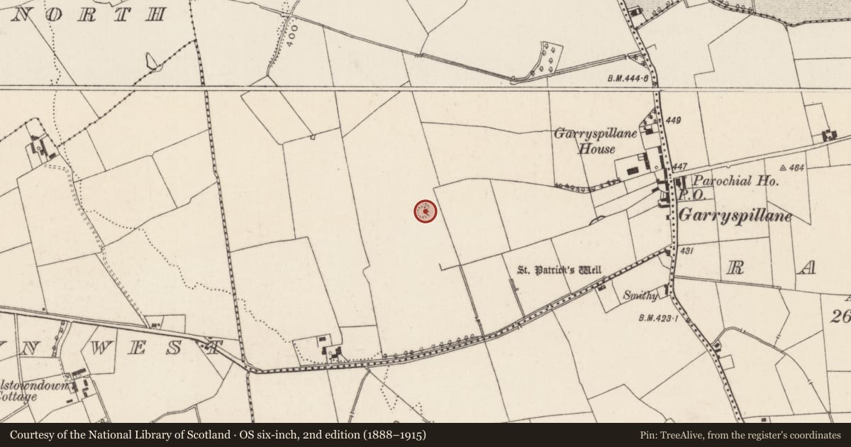 Ordnance Survey six-inch map, 2nd edition (1888–1915) covering the location of Ringfort - rath, Raheennamadra, County Limerick, with a pin at the register's coordinates