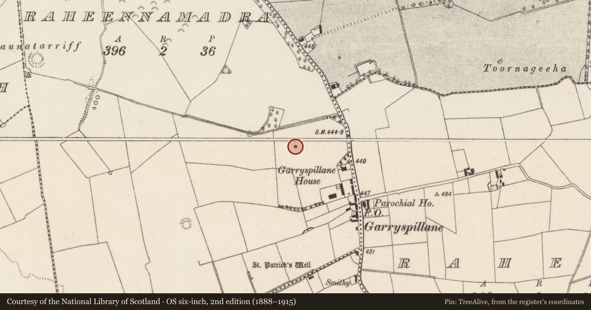Ordnance Survey six-inch map, 2nd edition (1888–1915) covering the location of Field system, Raheennamadra, County Limerick, with a pin at the register's coordinates