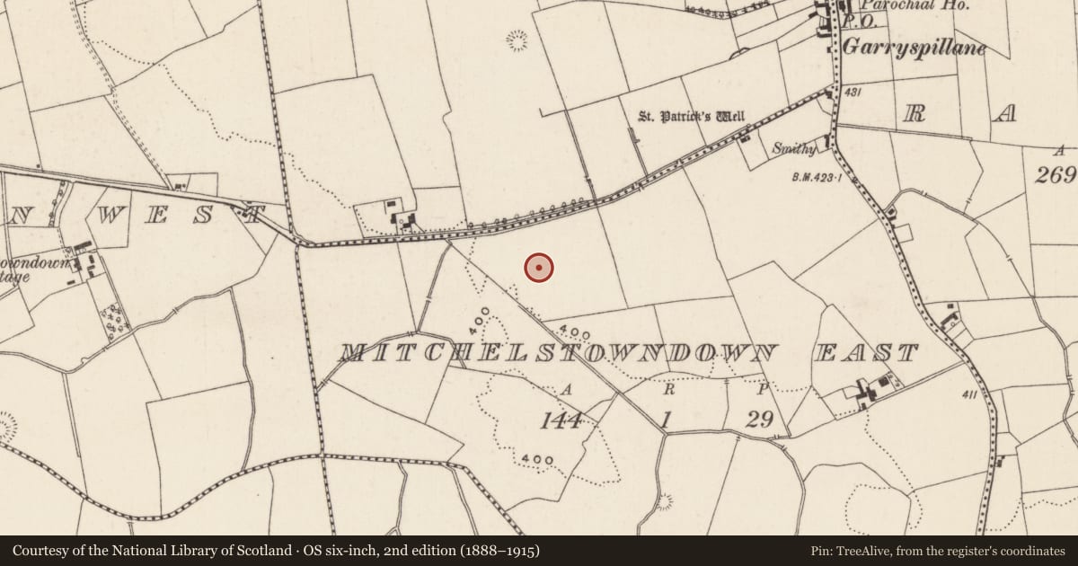 Ordnance Survey six-inch map, 2nd edition (1888–1915) covering the location of Earthwork, Mitchelstowndown East, County Limerick, with a pin at the register's coordinates