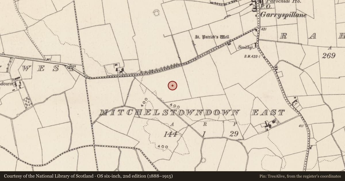 Ordnance Survey six-inch map, 2nd edition (1888–1915) covering the location of Barrow - ditch barrow, Mitchelstowndown East, County Limerick, with a pin at the register's coordinates