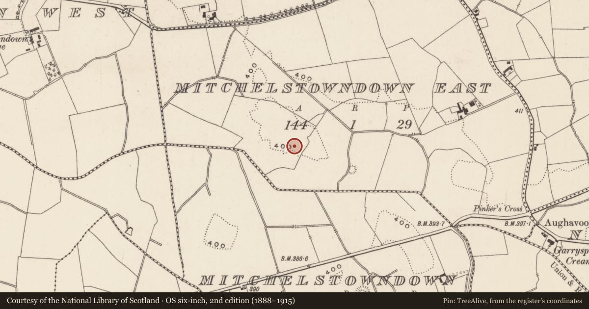 Ordnance Survey six-inch map, 2nd edition (1888–1915) covering the location of Moated site, Mitchelstowndown East, County Limerick, with a pin at the register's coordinates