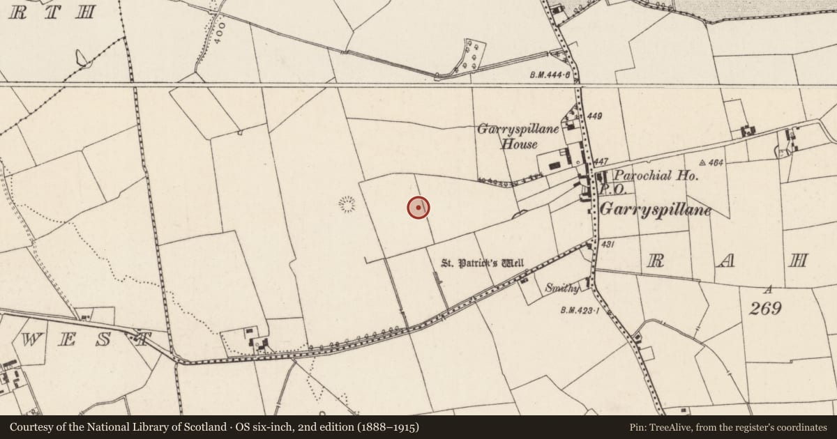 Ordnance Survey six-inch map, 2nd edition (1888–1915) covering the location of Earthwork, Raheennamadra, County Limerick, with a pin at the register's coordinates