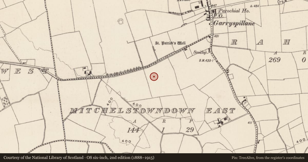 Ordnance Survey six-inch map, 2nd edition (1888–1915) covering the location of Earthwork, Mitchelstowndown East, County Limerick, with a pin at the register's coordinates