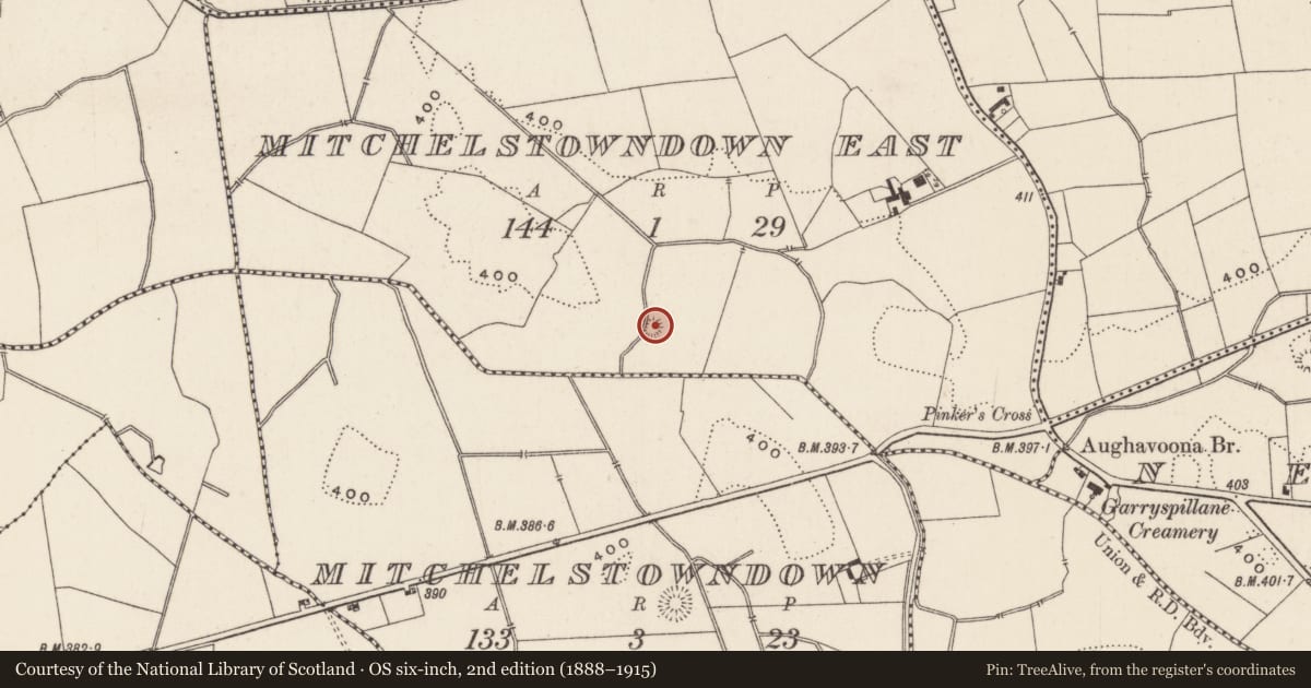 Ordnance Survey six-inch map, 2nd edition (1888–1915) covering the location of Earthwork, Mitchelstowndown East, County Limerick, with a pin at the register's coordinates