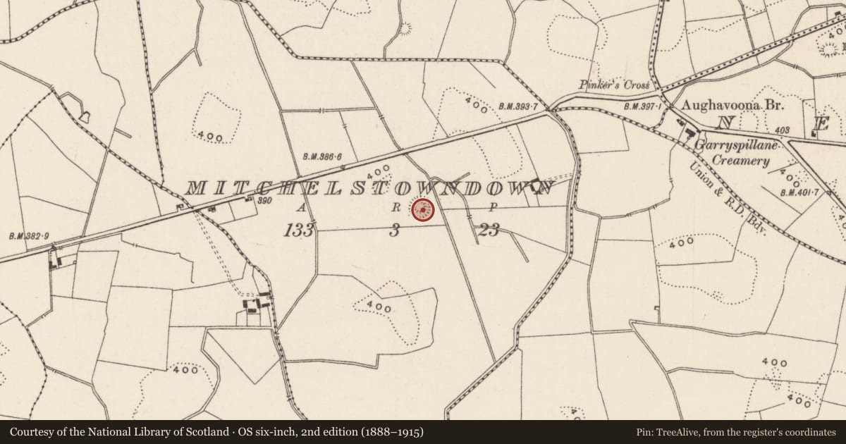 Ordnance Survey six-inch map, 2nd edition (1888–1915) covering the location of Earthwork, Mitchelstowndown, County Limerick, with a pin at the register's coordinates