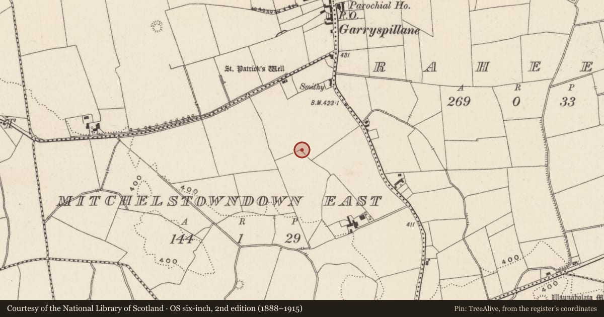 Ordnance Survey six-inch map, 2nd edition (1888–1915) covering the location of Field system, Mitchelstowndown East, County Limerick, with a pin at the register's coordinates
