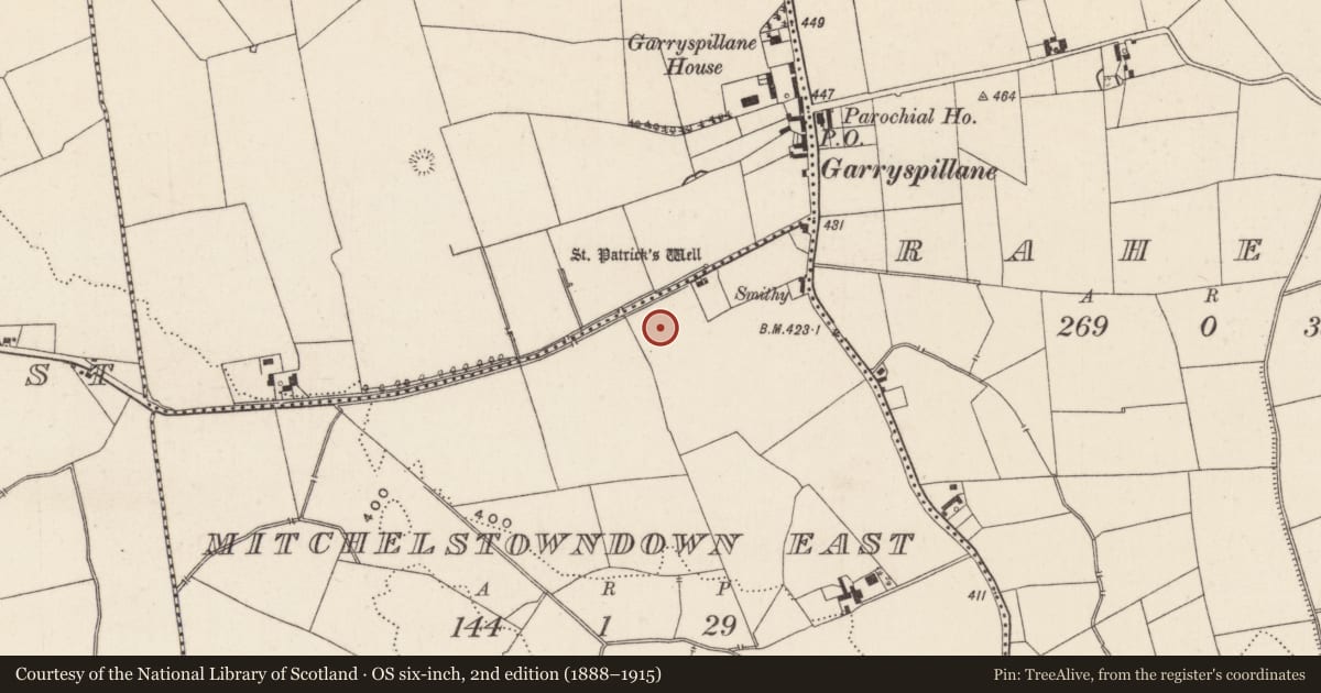 Ordnance Survey six-inch map, 2nd edition (1888–1915) covering the location of Earthwork, Mitchelstowndown East, County Limerick, with a pin at the register's coordinates