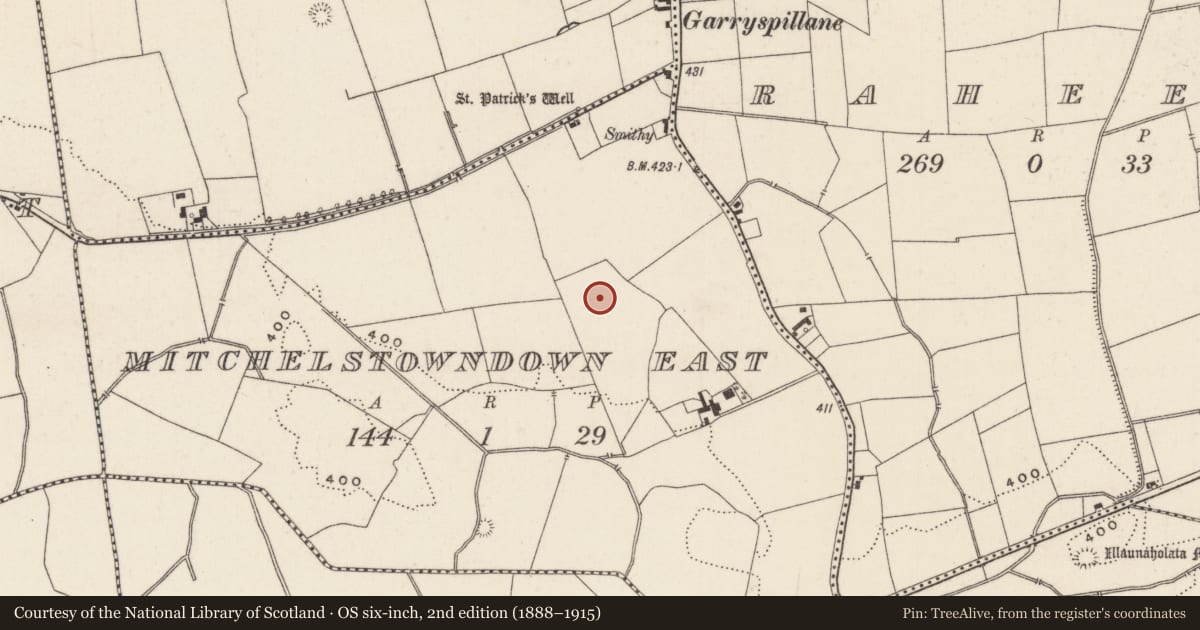 Ordnance Survey six-inch map, 2nd edition (1888–1915) covering the location of Earthwork, Mitchelstowndown East, County Limerick, with a pin at the register's coordinates