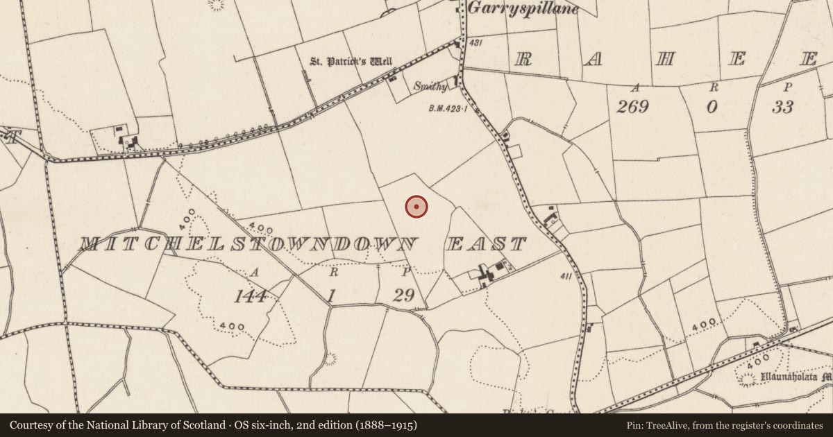 Ordnance Survey six-inch map, 2nd edition (1888–1915) covering the location of Barrow - unclassified, Mitchelstowndown East, County Limerick, with a pin at the register's coordinates
