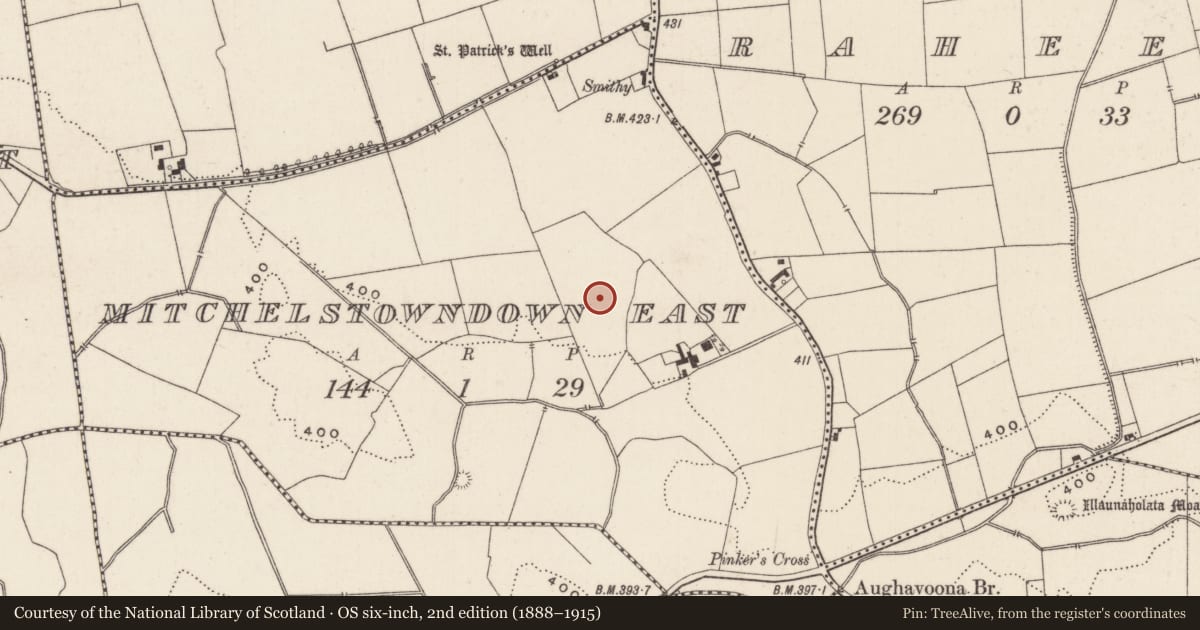 Ordnance Survey six-inch map, 2nd edition (1888–1915) covering the location of Earthwork, Mitchelstowndown East, County Limerick, with a pin at the register's coordinates
