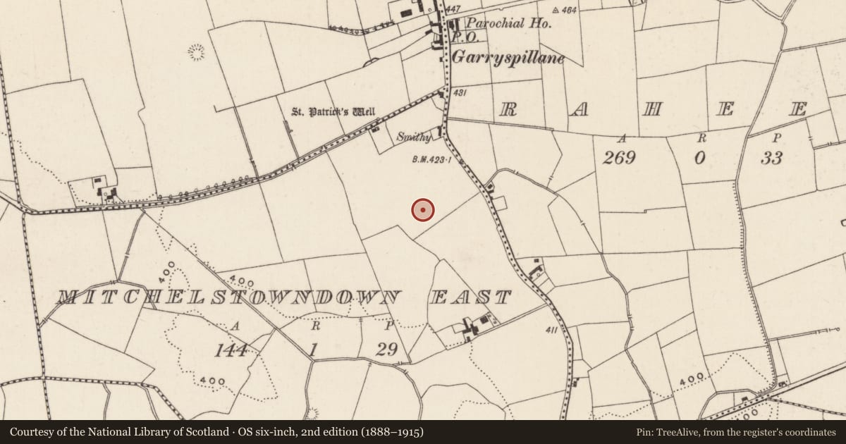 Ordnance Survey six-inch map, 2nd edition (1888–1915) covering the location of Earthwork, Mitchelstowndown East, County Limerick, with a pin at the register's coordinates