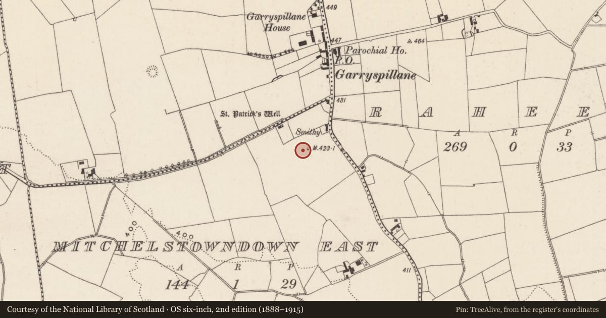 Ordnance Survey six-inch map, 2nd edition (1888–1915) covering the location of Barrow - unclassified, Mitchelstowndown East, County Limerick, with a pin at the register's coordinates