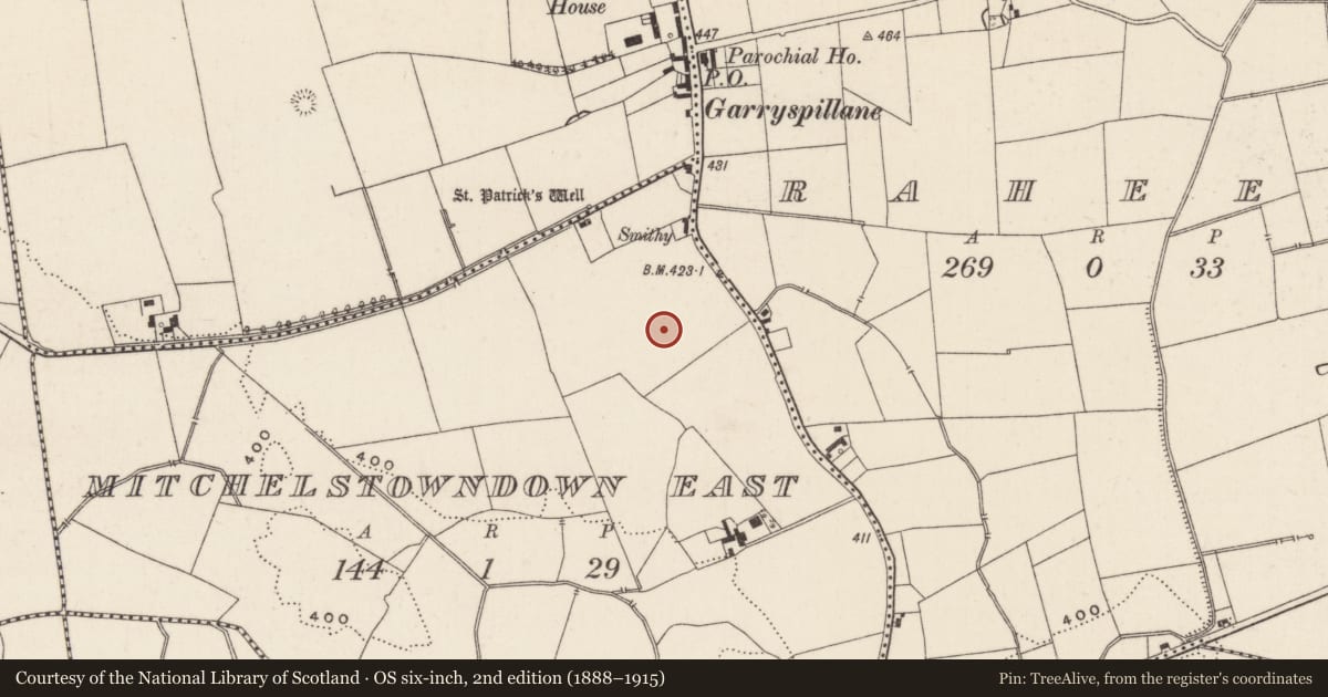 Ordnance Survey six-inch map, 2nd edition (1888–1915) covering the location of Barrow - ditch barrow, Mitchelstowndown East, County Limerick, with a pin at the register's coordinates