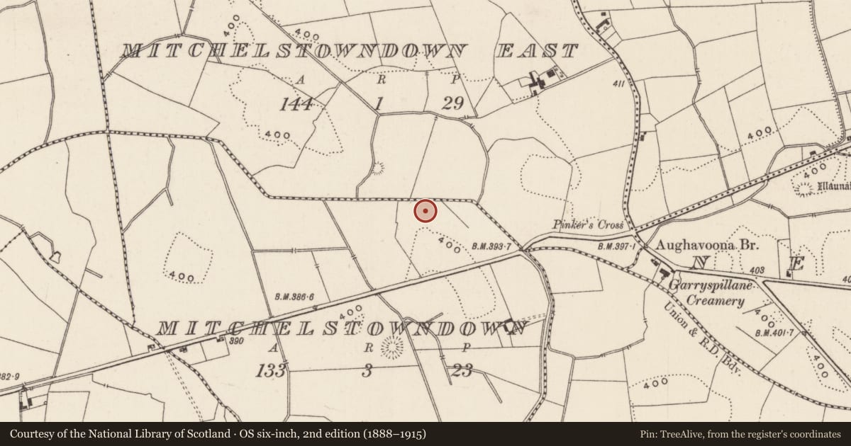 Ordnance Survey six-inch map, 2nd edition (1888–1915) covering the location of Earthwork, Mitchelstowndown, County Limerick, with a pin at the register's coordinates