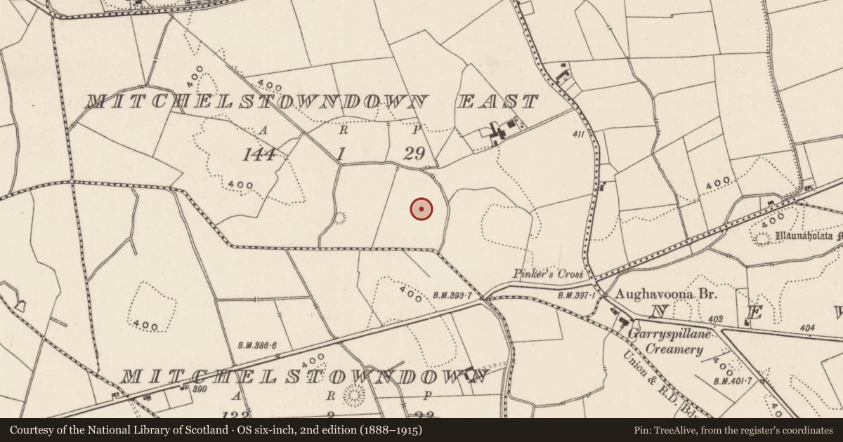 Ordnance Survey six-inch map, 2nd edition (1888–1915) covering the location of Earthwork, Mitchelstowndown East, County Limerick, with a pin at the register's coordinates