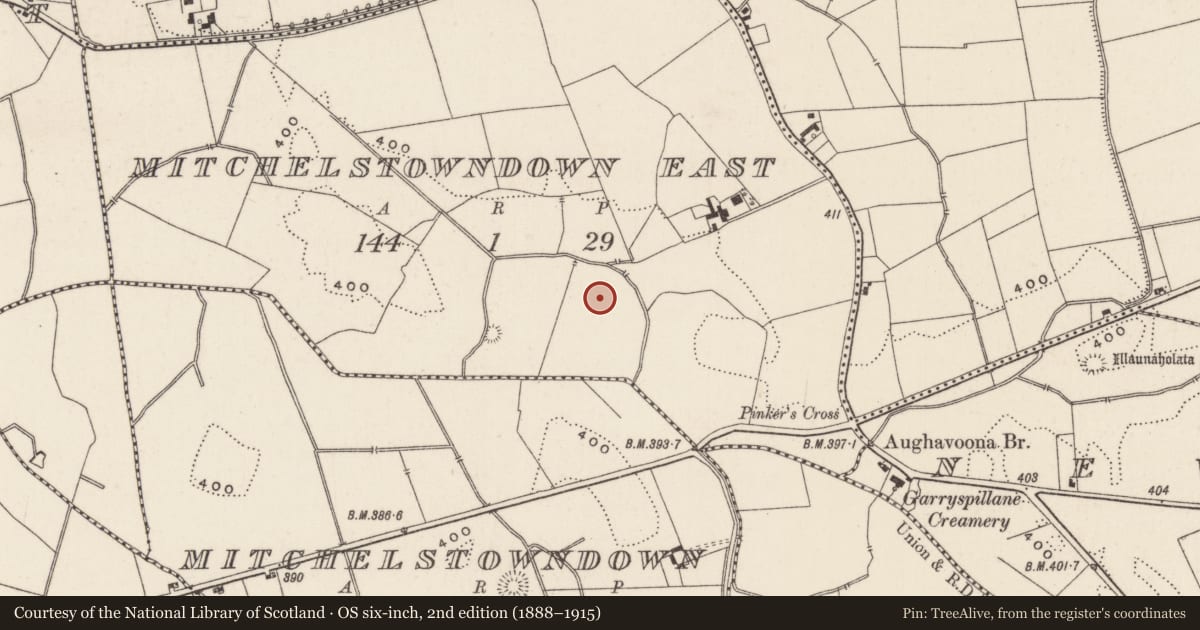 Ordnance Survey six-inch map, 2nd edition (1888–1915) covering the location of Barrow - ditch barrow, Mitchelstowndown East, County Limerick, with a pin at the register's coordinates