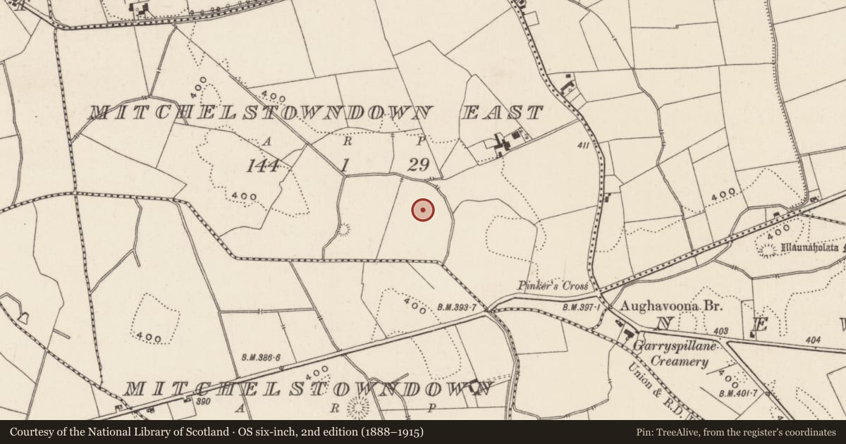 Ordnance Survey six-inch map, 2nd edition (1888–1915) covering the location of Barrow - ditch barrow, Mitchelstowndown East, County Limerick, with a pin at the register's coordinates