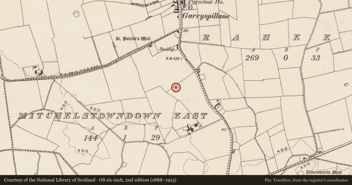 Ordnance Survey six-inch map, 2nd edition (1888–1915) covering the location of Pit, Mitchelstowndown East, County Limerick, with a pin at the register's coordinates