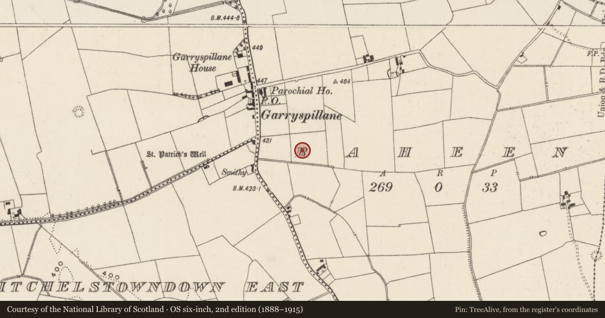 Ordnance Survey six-inch map, 2nd edition (1888–1915) covering the location of Moated site, Raheen, County Limerick, with a pin at the register's coordinates