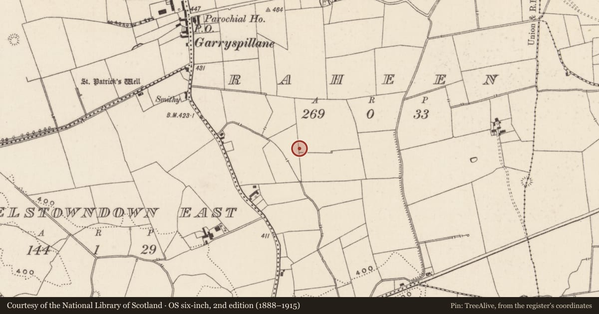 Ordnance Survey six-inch map, 2nd edition (1888–1915) covering the location of Barrow - unclassified, Raheen, County Limerick, with a pin at the register's coordinates