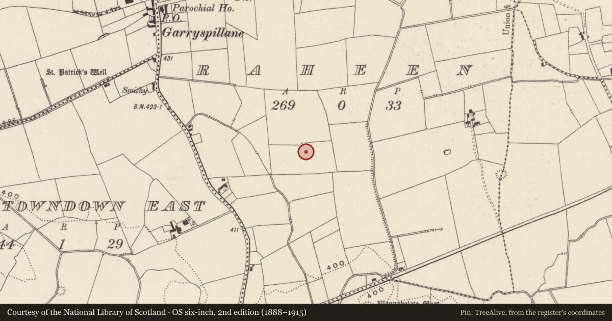 Ordnance Survey six-inch map, 2nd edition (1888–1915) covering the location of Barrow - ditch barrow, Raheen, County Limerick, with a pin at the register's coordinates