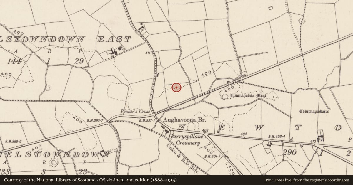 Ordnance Survey six-inch map, 2nd edition (1888–1915) covering the location of Barrow - ditch barrow, Raheen, County Limerick, with a pin at the register's coordinates
