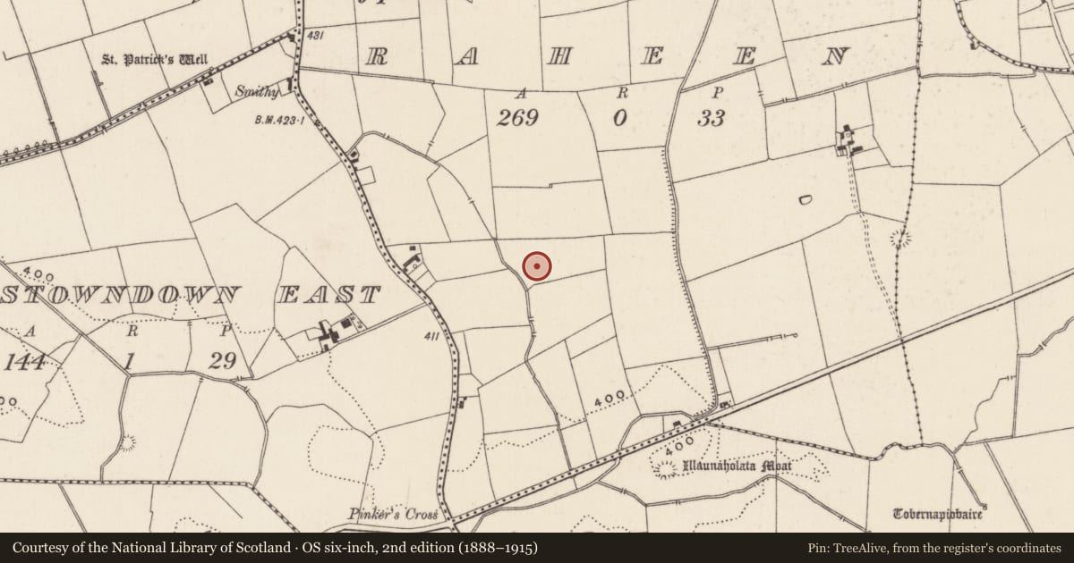 Ordnance Survey six-inch map, 2nd edition (1888–1915) covering the location of Cremation pit, Raheen, County Limerick, with a pin at the register's coordinates