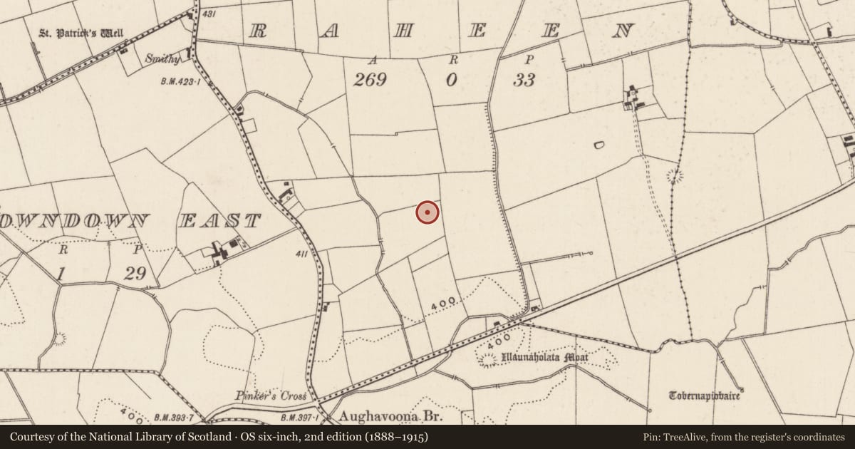 Ordnance Survey six-inch map, 2nd edition (1888–1915) covering the location of Excavation - miscellaneous, Raheen, County Limerick, with a pin at the register's coordinates