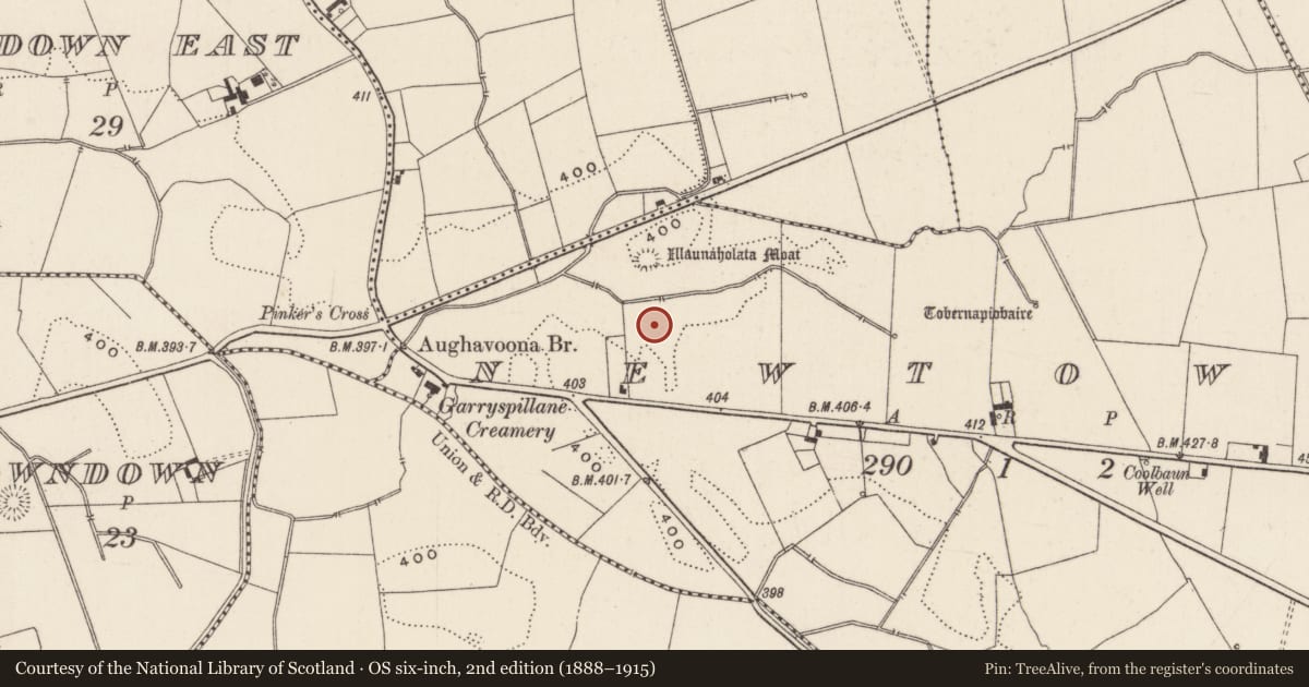 Ordnance Survey six-inch map, 2nd edition (1888–1915) covering the location of Earthwork, Newtown, County Limerick, with a pin at the register's coordinates