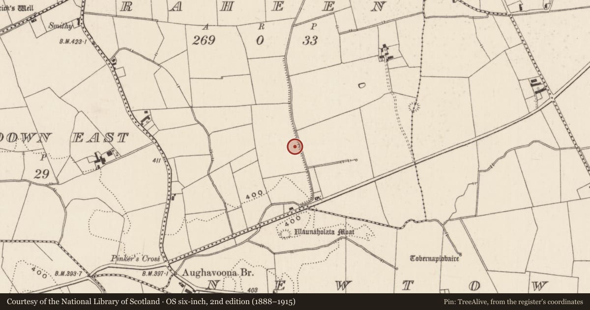 Ordnance Survey six-inch map, 2nd edition (1888–1915) covering the location of Fulacht fia, Raheen, County Limerick, with a pin at the register's coordinates