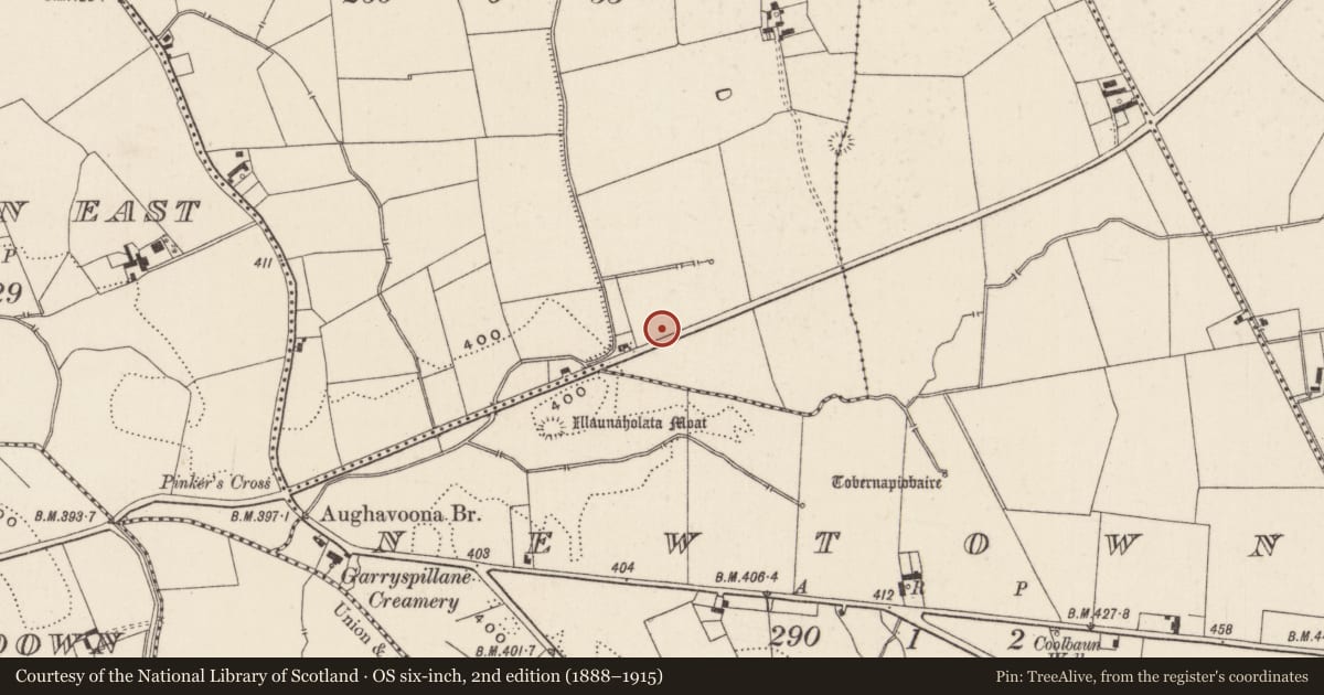 Ordnance Survey six-inch map, 2nd edition (1888–1915) covering the location of Earthwork, Raheen, County Limerick, with a pin at the register's coordinates