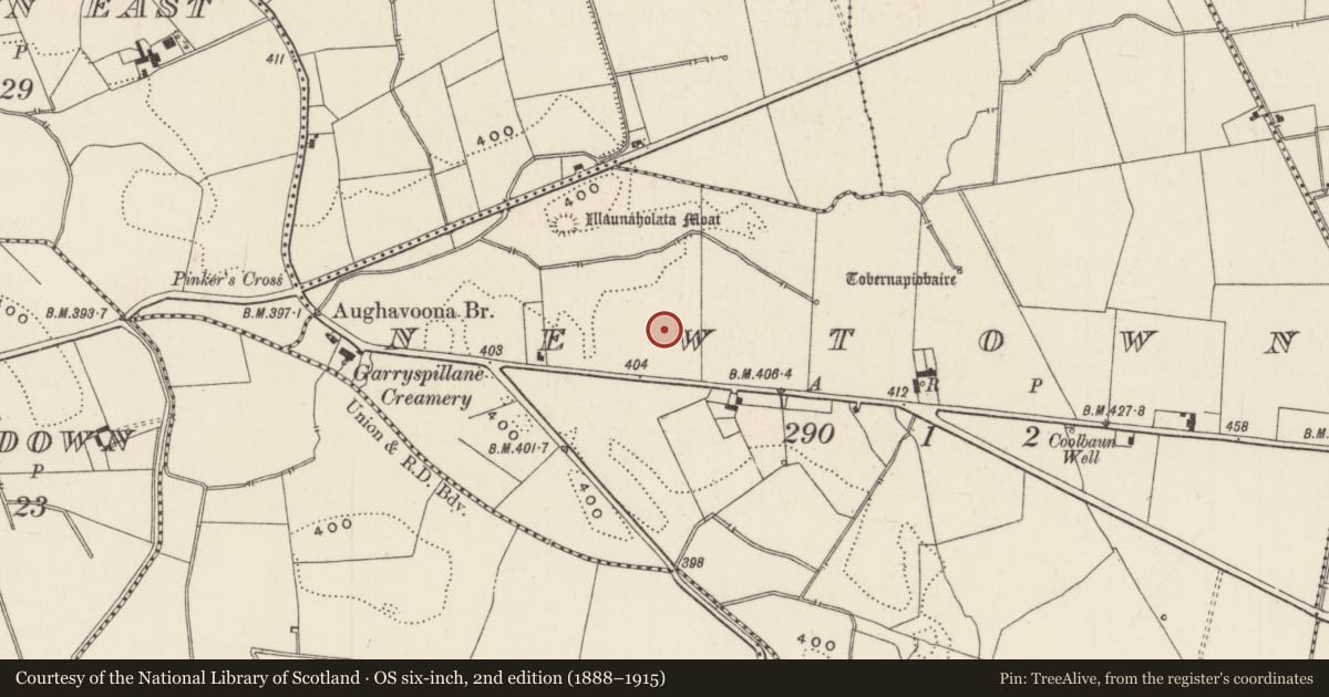 Ordnance Survey six-inch map, 2nd edition (1888–1915) covering the location of Earthwork, Newtown, County Limerick, with a pin at the register's coordinates