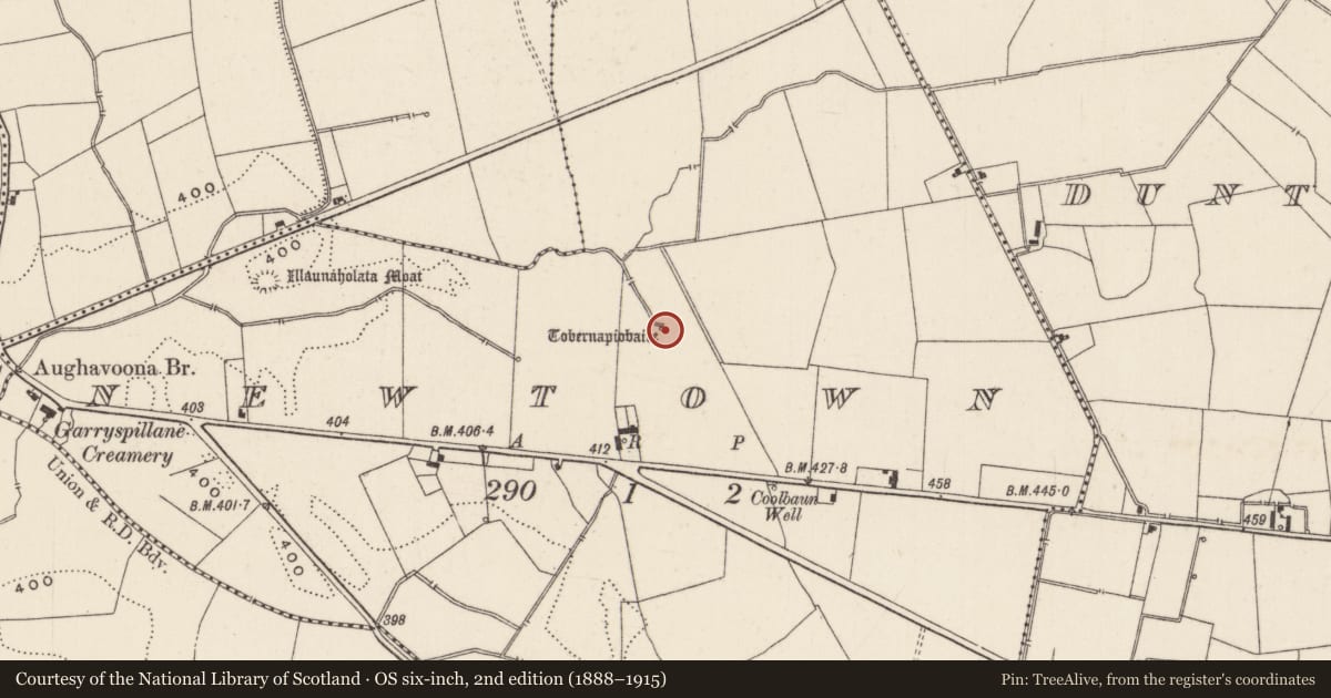 Ordnance Survey six-inch map, 2nd edition (1888–1915) covering the location of Ritual site - holy well, Newtown, County Limerick, with a pin at the register's coordinates