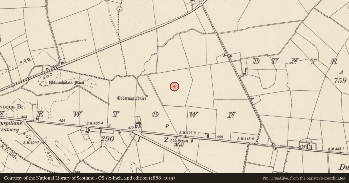Ordnance Survey six-inch map, 2nd edition (1888–1915) covering the location of Field system, Newtown, County Limerick, with a pin at the register's coordinates