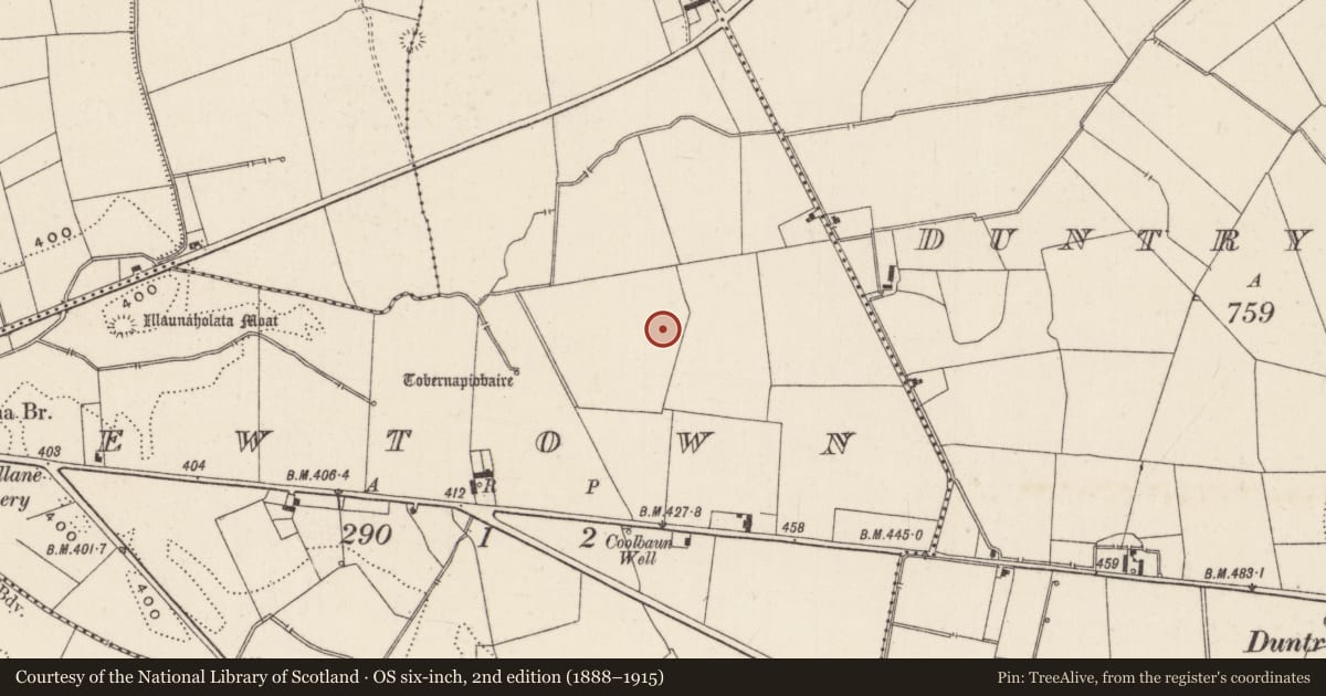 Ordnance Survey six-inch map, 2nd edition (1888–1915) covering the location of Earthwork, Newtown, County Limerick, with a pin at the register's coordinates
