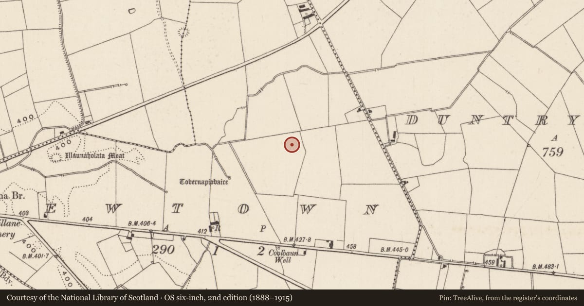 Ordnance Survey six-inch map, 2nd edition (1888–1915) covering the location of Earthwork, Newtown, County Limerick, with a pin at the register's coordinates