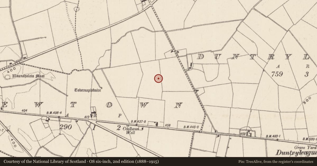 Ordnance Survey six-inch map, 2nd edition (1888–1915) covering the location of Barrow - ditch barrow, Newtown, County Limerick, with a pin at the register's coordinates