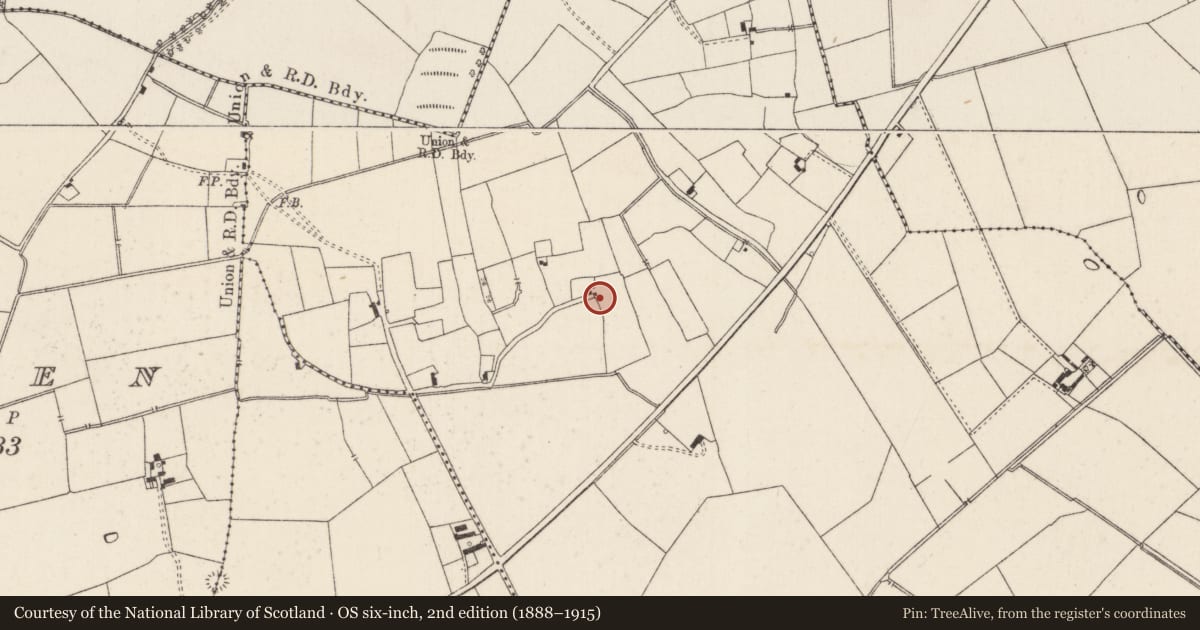 Ordnance Survey six-inch map, 2nd edition (1888–1915) covering the location of Field system, Duntryleague, County Limerick, with a pin at the register's coordinates