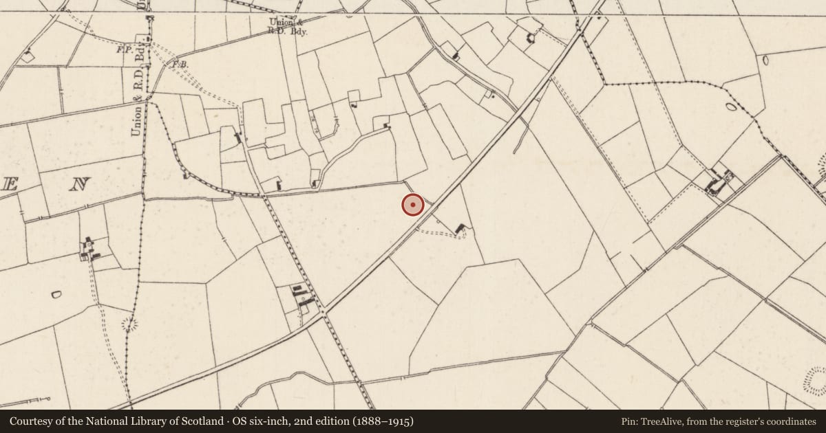 Ordnance Survey six-inch map, 2nd edition (1888–1915) covering the location of Earthwork, Duntryleague, County Limerick, with a pin at the register's coordinates