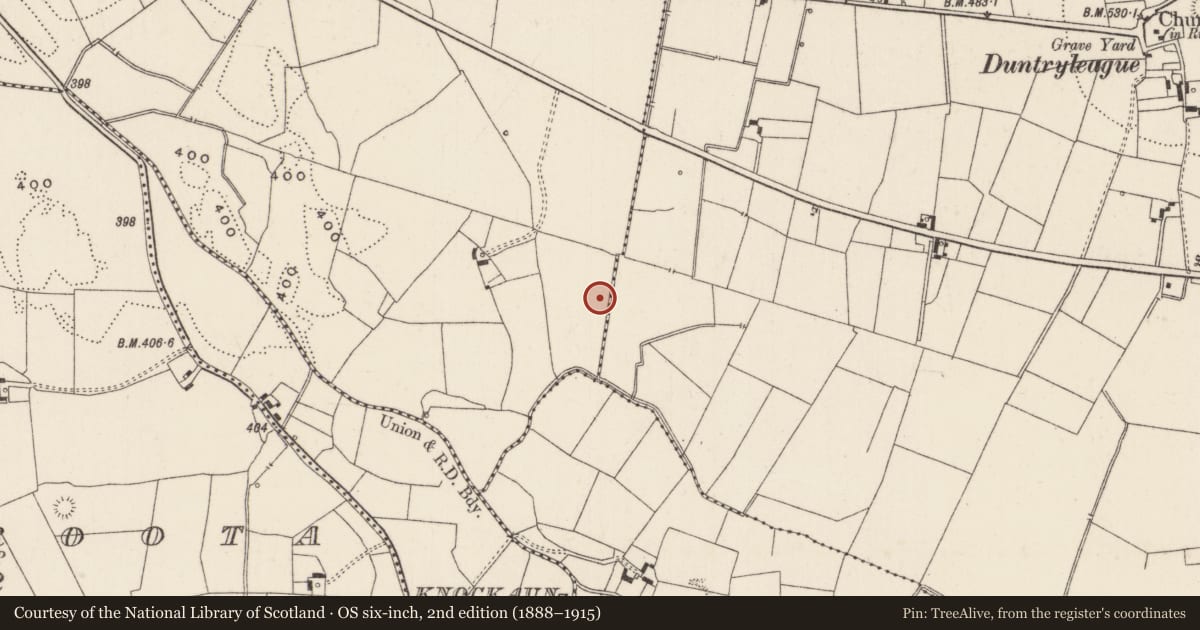 Ordnance Survey six-inch map, 2nd edition (1888–1915) covering the location of Earthwork, Newtown, County Limerick, with a pin at the register's coordinates
