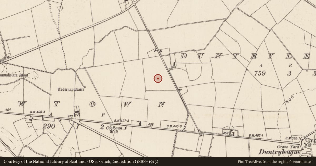 Ordnance Survey six-inch map, 2nd edition (1888–1915) covering the location of Barrow - ditch barrow, Newtown, County Limerick, with a pin at the register's coordinates