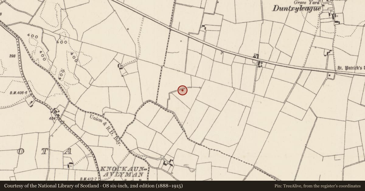 Ordnance Survey six-inch map, 2nd edition (1888–1915) covering the location of Field system, Duntryleague, County Limerick, with a pin at the register's coordinates