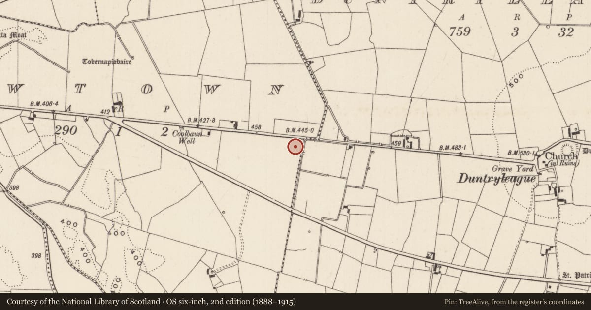 Ordnance Survey six-inch map, 2nd edition (1888–1915) covering the location of Earthwork, Newtown, County Limerick, with a pin at the register's coordinates