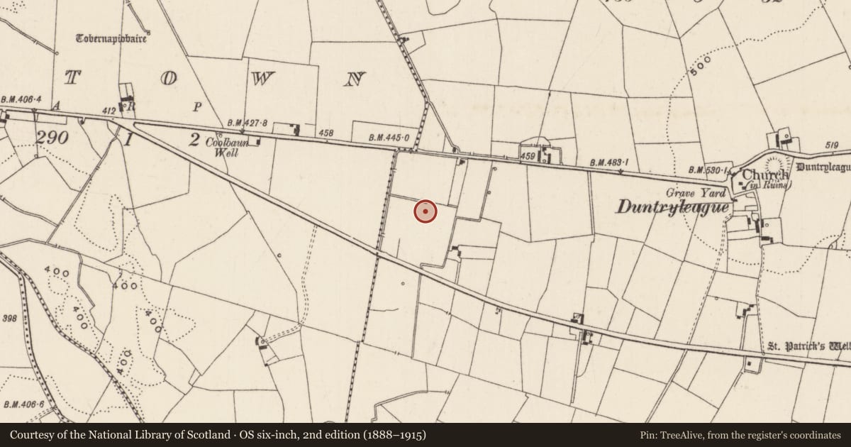 Ordnance Survey six-inch map, 2nd edition (1888–1915) covering the location of Pit, Duntryleague, County Limerick, with a pin at the register's coordinates